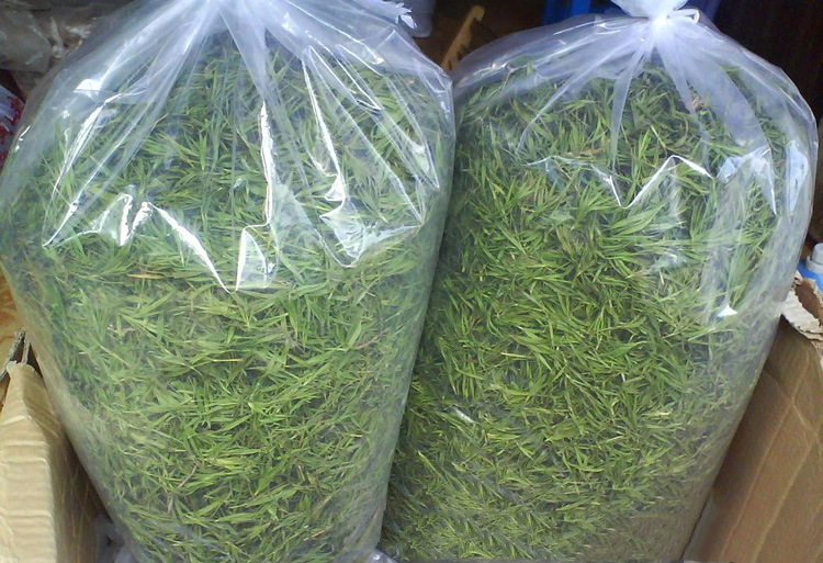 厂家批发崂山石竹茶 供应优质竹叶青茶清凉解暑 散装花草茶国花堂
